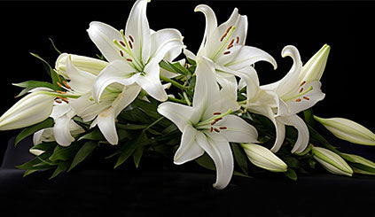 Suze za pomene i sahrane Teleflora