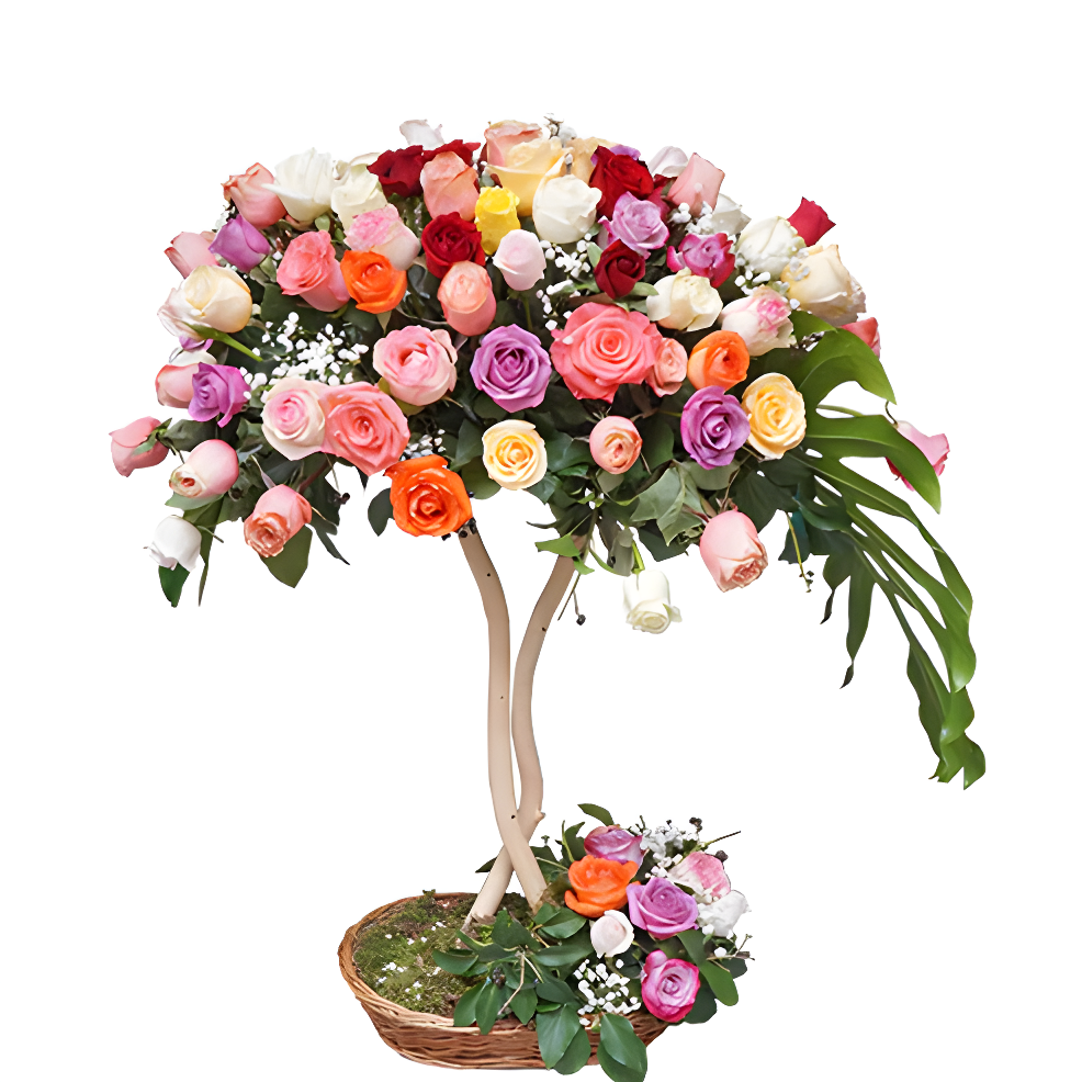 101 Šarena ruža u obliku stabla