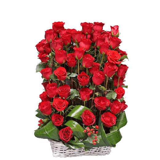 101 razlog zašto te volim