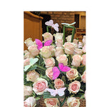 101  romantičnaa ruža