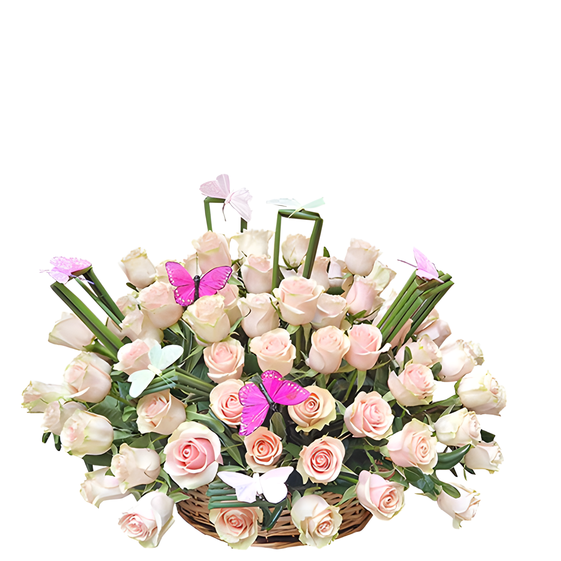 101 Romantična ruža