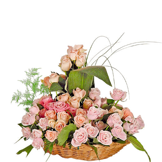 101 ruža -3 boje roze