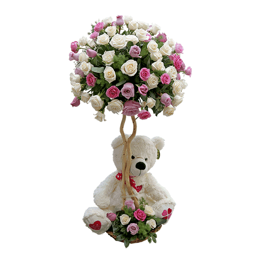 101 ruža - Meda u hladu