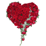 101 ruža - Zavedi me…