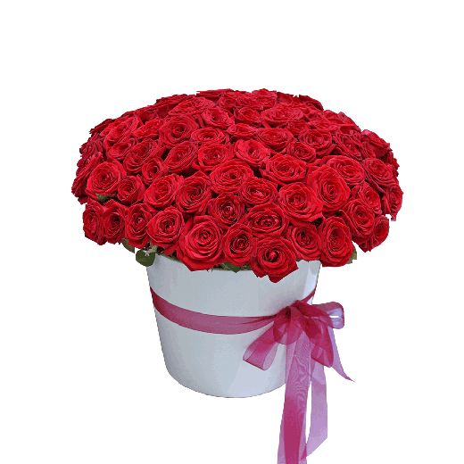 101 ruža u posudi