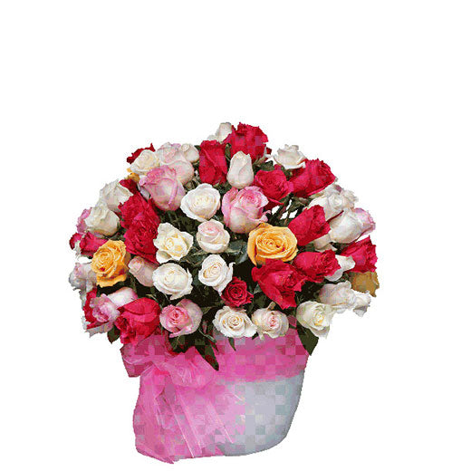 101  ruža za sreću