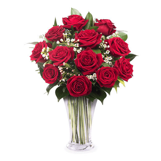 12 crvenih ruža-Francuska