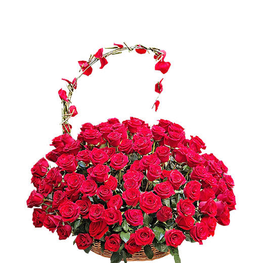 201 ruža - U boji ljubavi