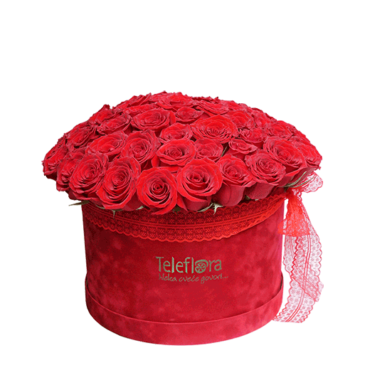 71 ruža u kutiji