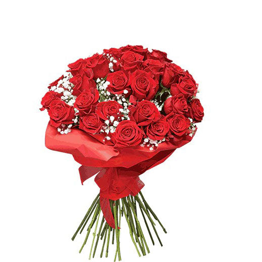 Budi moja zvezda Danica