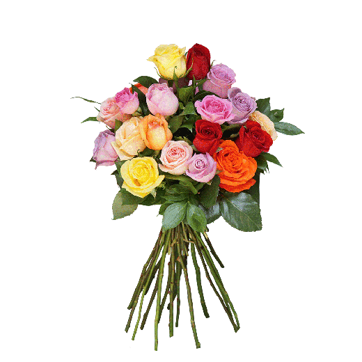 Buket energetskih boja