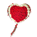 Crveno bela 101 ruža