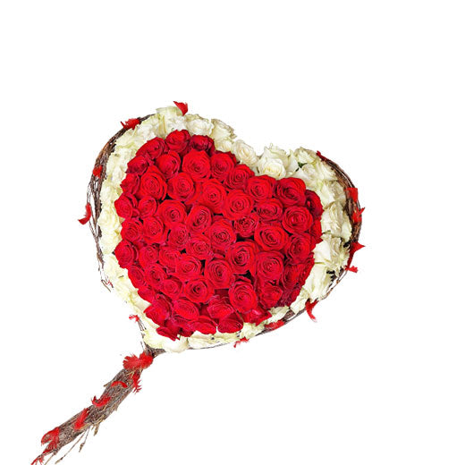 Crveno bela 101 ruža