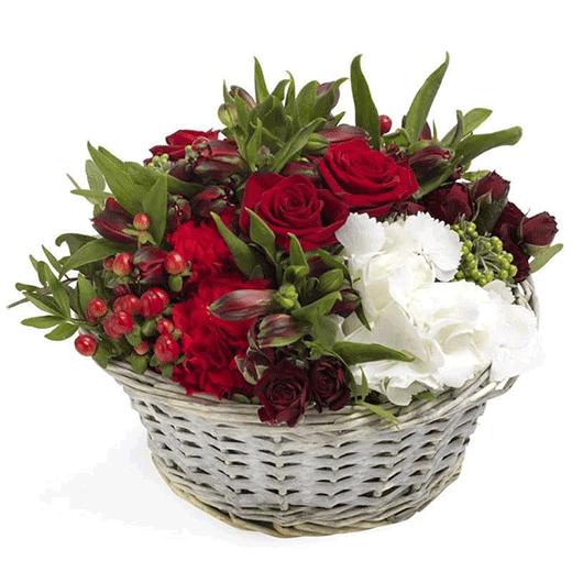 Cvetna dolina - Novi Zeland