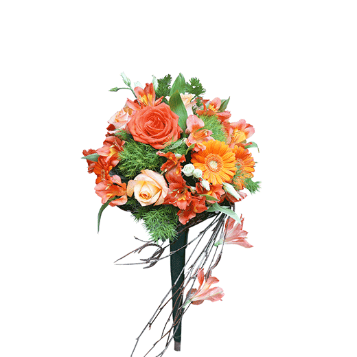 Cvetno osvajanje ovna