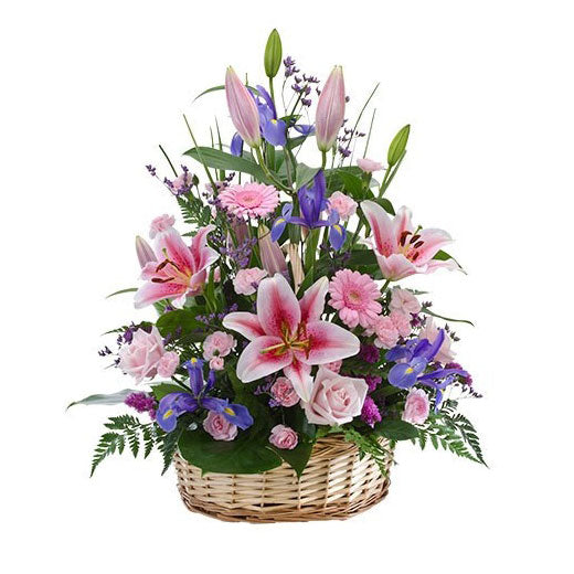 Džentlmenski maniri - Kina