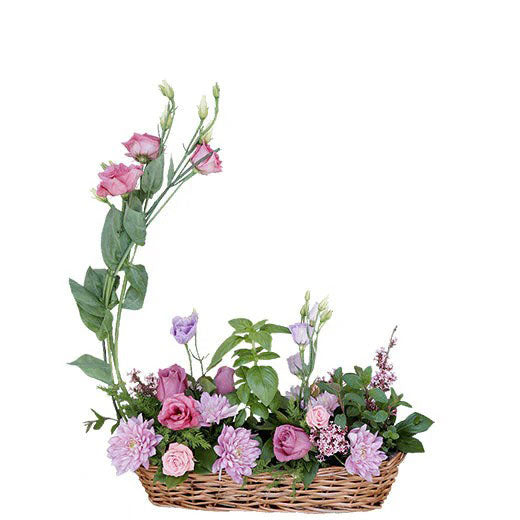 Gift of nature