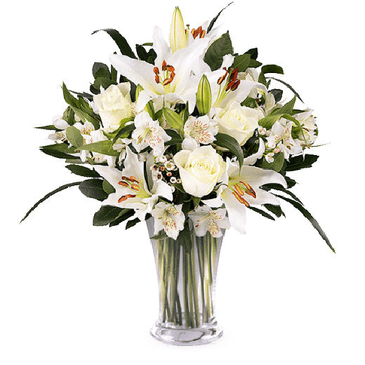 Divan dan - Argentina