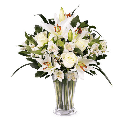 Divan dan - Luksemburg