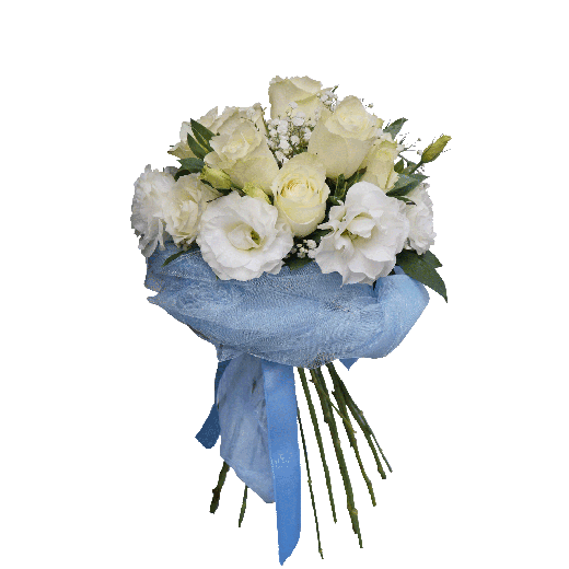 Dobrodošao mali dečače