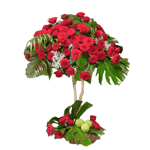 Drvo ljubavi - 101 ruža