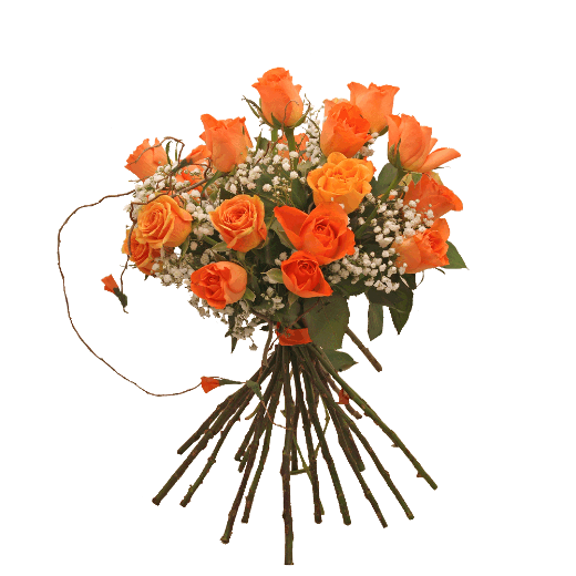 Energetski buket - Andora