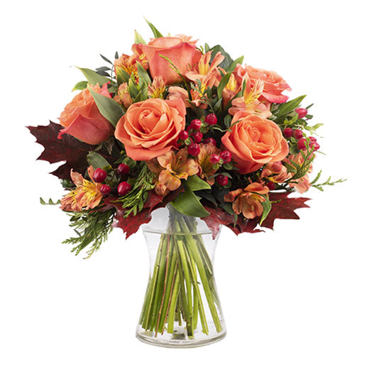 Energetski buket - Francuska