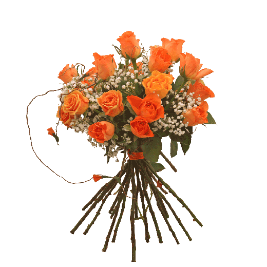 Energetski buket Kambodža