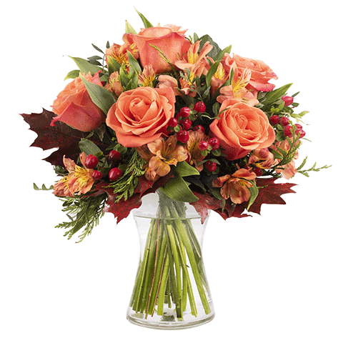 Energetski buket - Madjarska