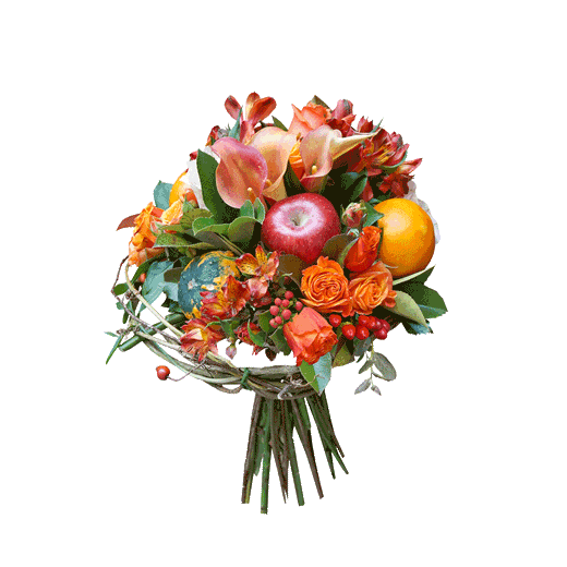 Energija zalaska sunca