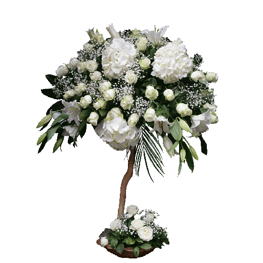 Jedan cvet, jedna želja…