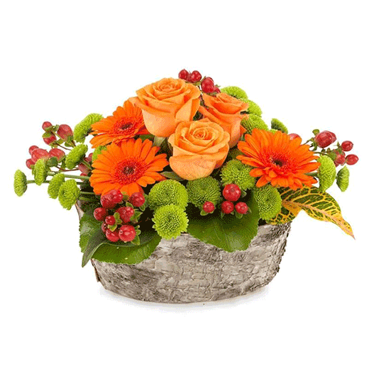 Jesenja harmonija - Turska