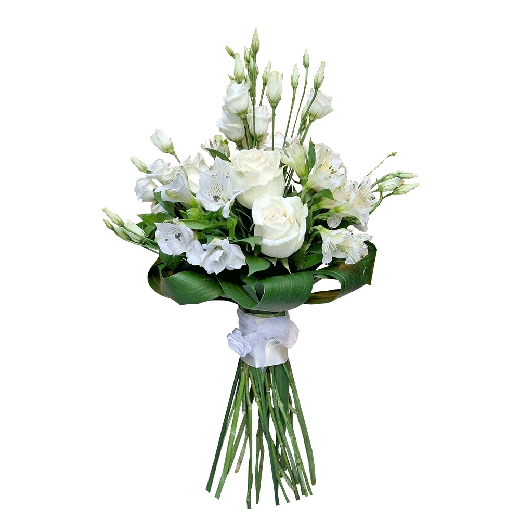 Kako osvojiti devicu