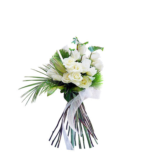 Kako osvojiti vodoliju