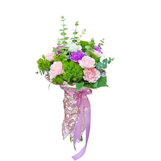 Karanfil – nebeski cvet