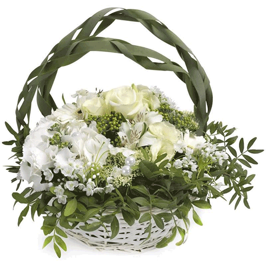 Klasika je in-Švedska