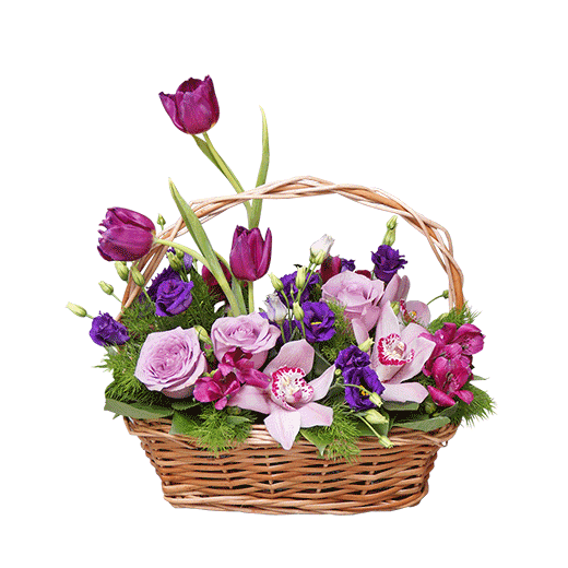 Korpa vesele energije