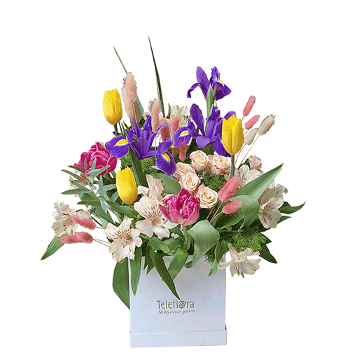 Kutija u boji proleća