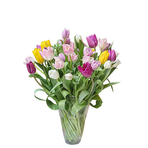 Lala - tako jednostavna i lepa