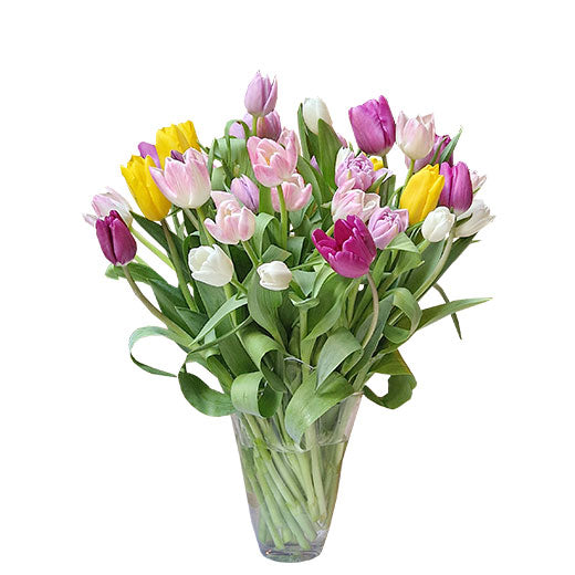 lale tako jednostavne i lepe