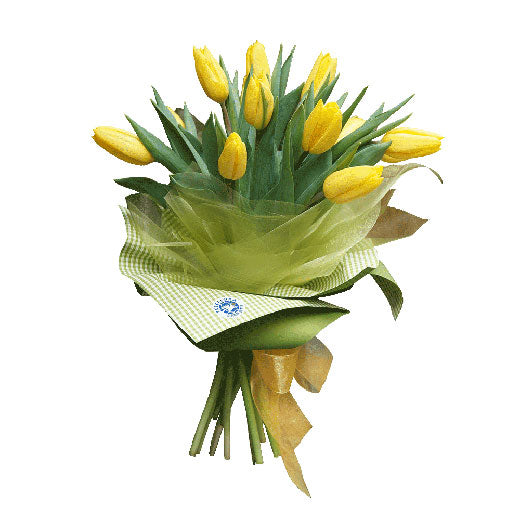 Lale - vesnici proleća