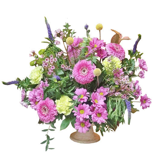 Lepota različitosti