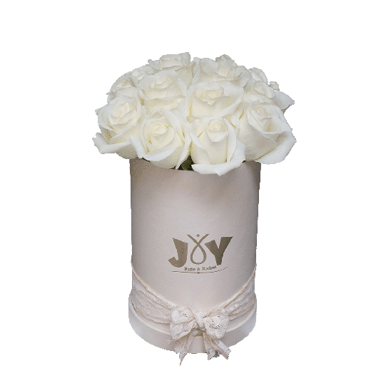 Ljubav i radost u kutiji