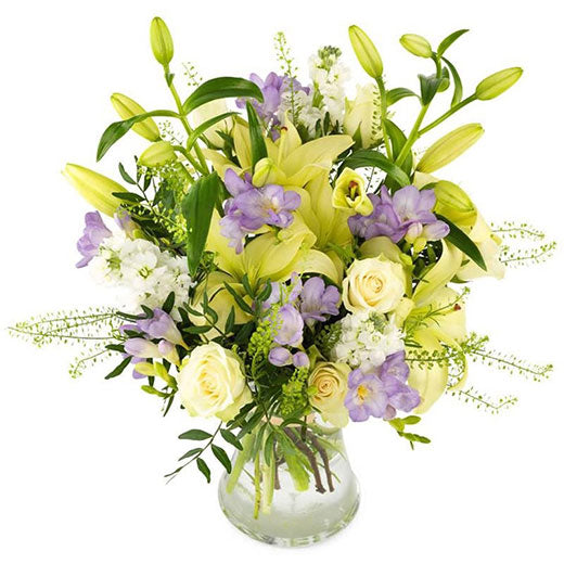 Nežna reč - Finska