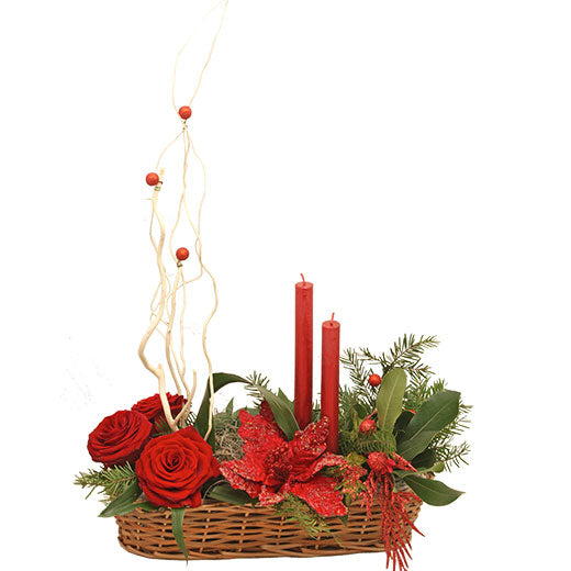 Novogodišnja radost