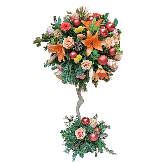 Novogodišnja toplina sunca