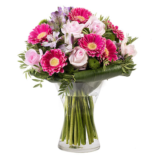 Od najbolje drugarice - Francuska