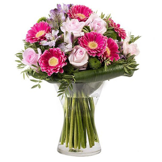 Od najbolje drugarice -  Kanada