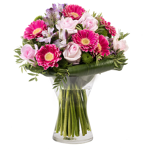 Od najbolje drugarice