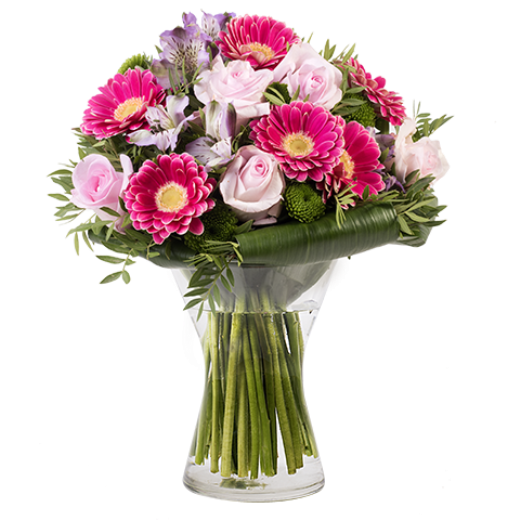 Od najbolje drugarice